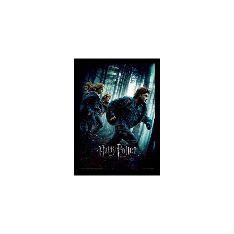 HARRY POTTER - Reliques de la Mort Part 1 -Impression encadrée 30x40cm