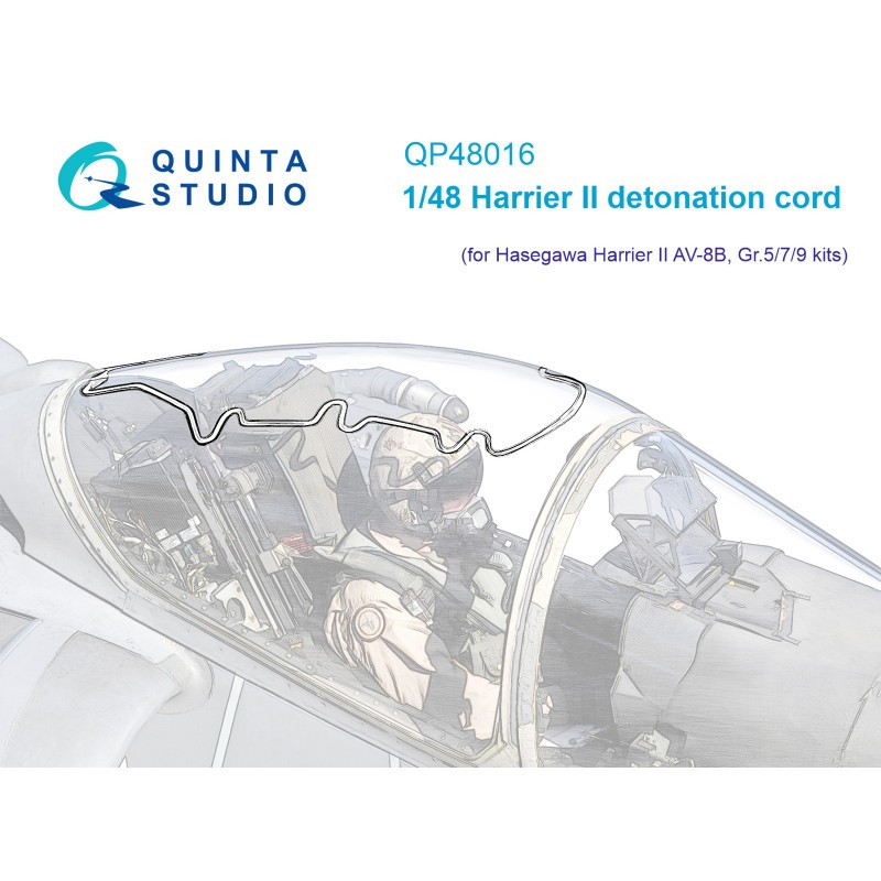 BAe Harrier II canopy detonation cord (designed to be used with Hasegawa kits)
