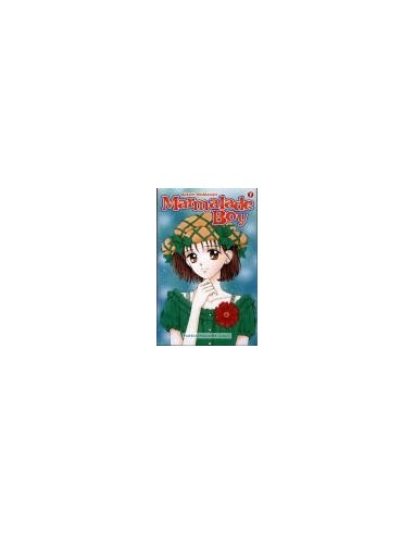 Segunda Mano – Marmalade Boy – Tome 7