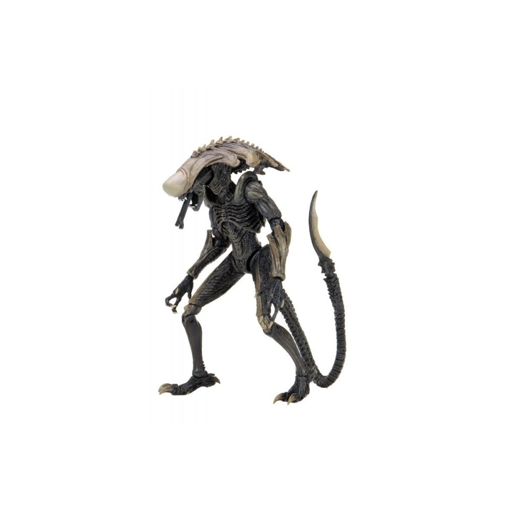 Alien VS Predator - Chrysalys Alien Neca