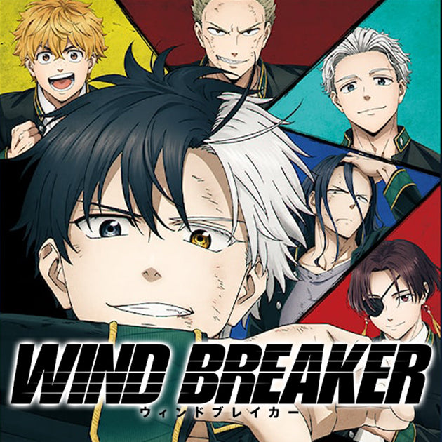 Wind Breaker - Intégrale - Tomes 1 à 21