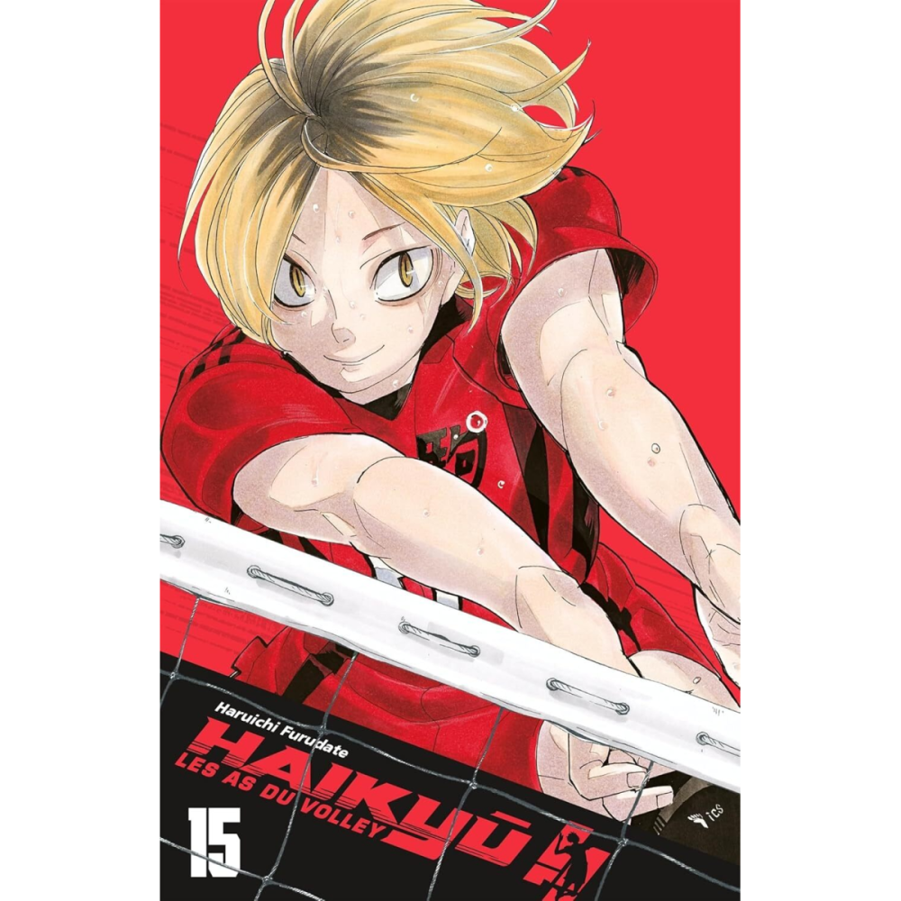 HAIKYU !! - Les as du volley - EDITION SMASH - Tome 15